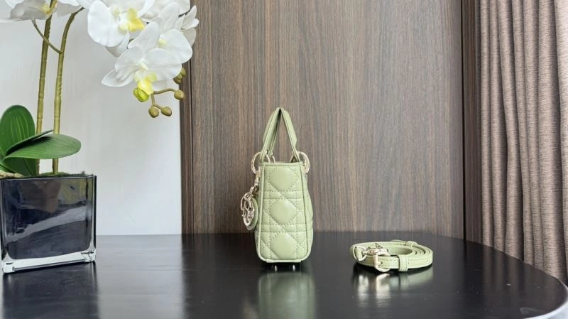 FreshLook Christian Dior My Lady Bags 70807