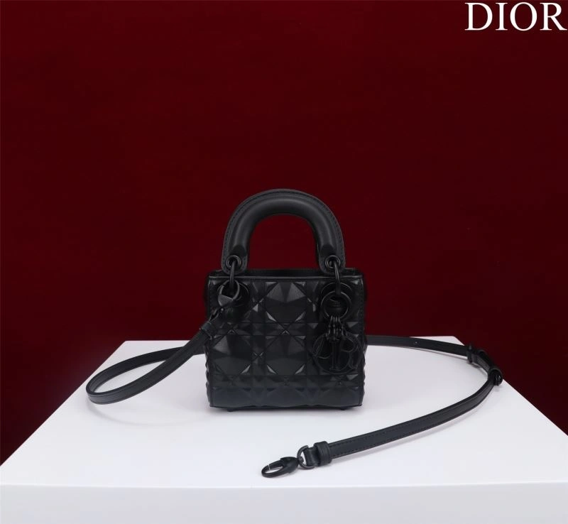 Resilient Christian Dior My Lady Bags 66761