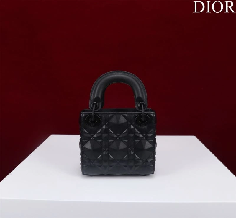 Resilient Christian Dior My Lady Bags 66761