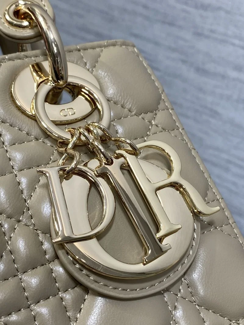 FreshLook Christian Dior My Lady Bags 47442