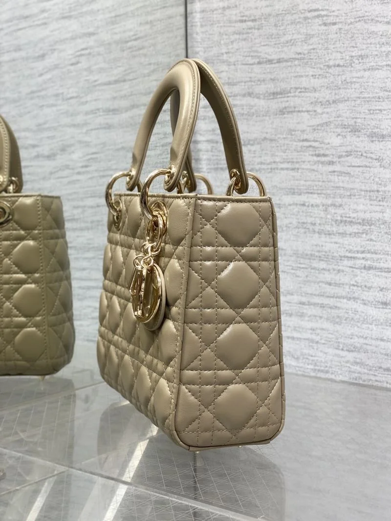 FreshLook Christian Dior My Lady Bags 47442