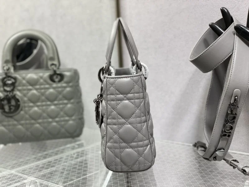 WellDesigned Christian Dior My Lady Bags 47391