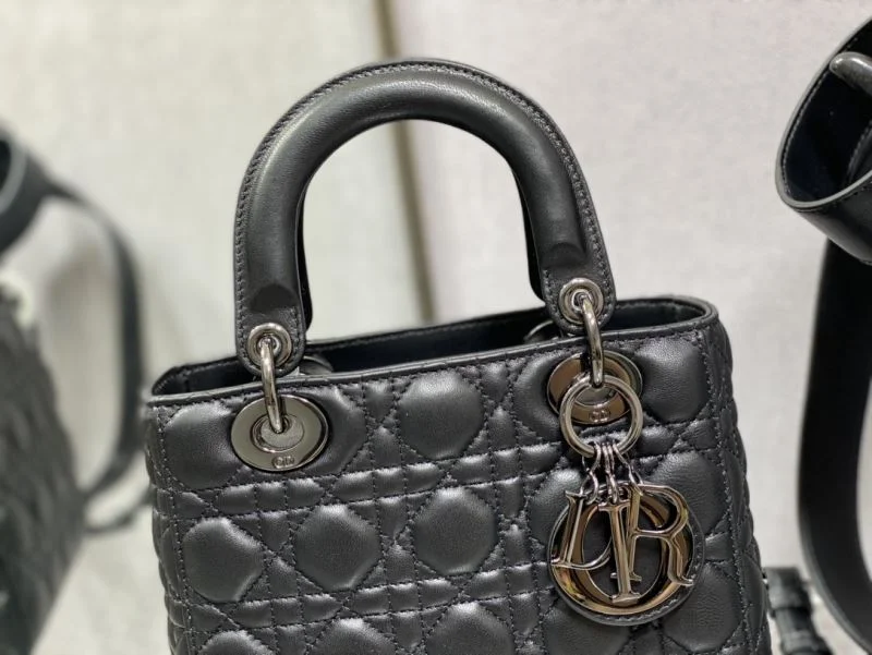 Christian Dior My Lady Bags TravelReady 47393