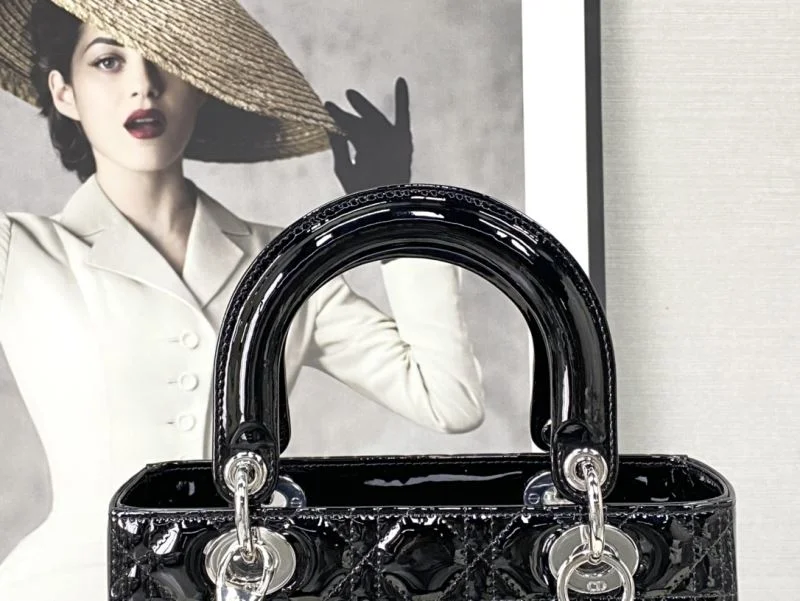 Christian Dior My Lady Bags TechFriendly 47363