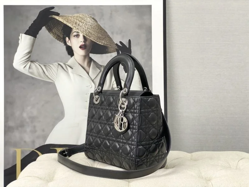 Durable Christian Dior My Lady Bags 47401