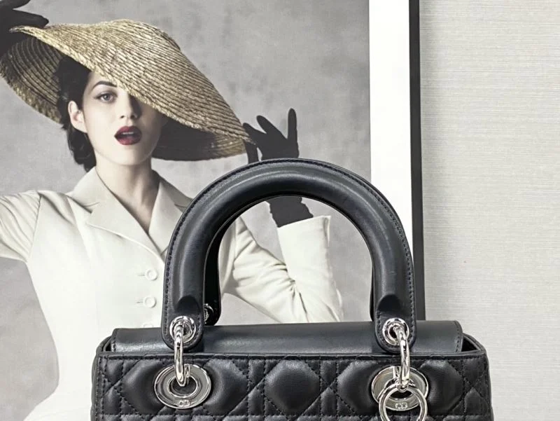 Durable Christian Dior My Lady Bags 47401
