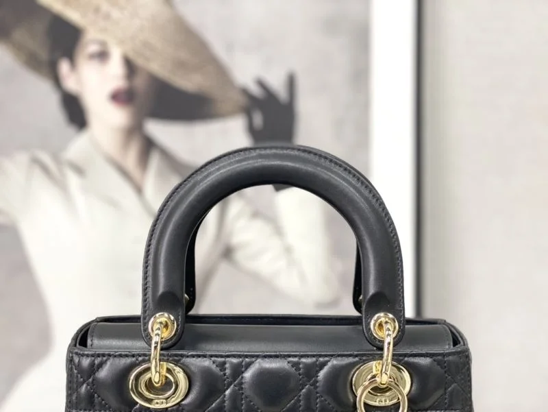 FreshLook Christian Dior My Lady Bags 47361