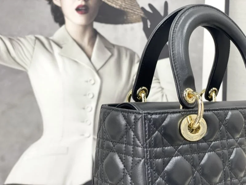 FreshLook Christian Dior My Lady Bags 47361