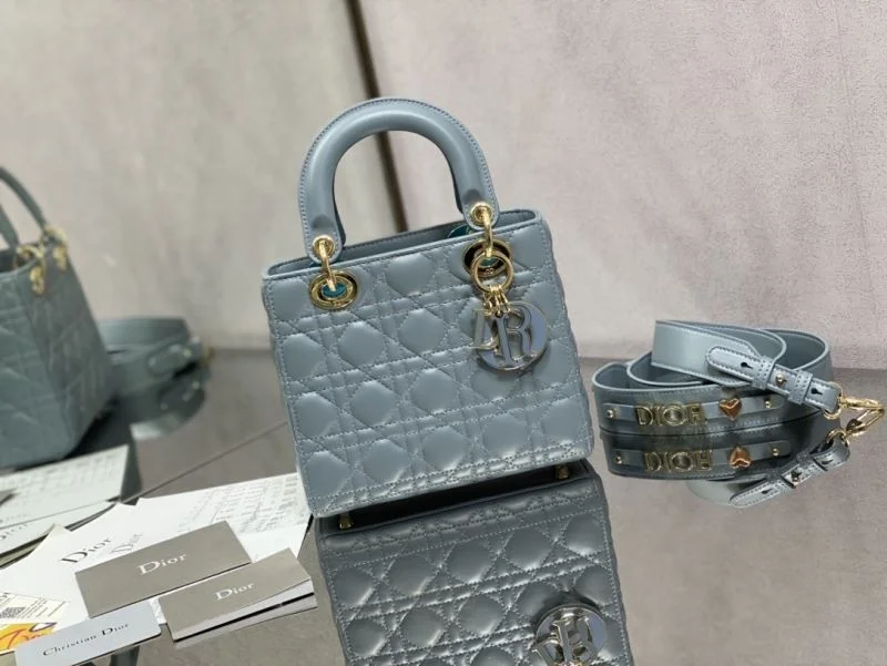 WrinkleFree Christian Dior My Lady Bags 47274