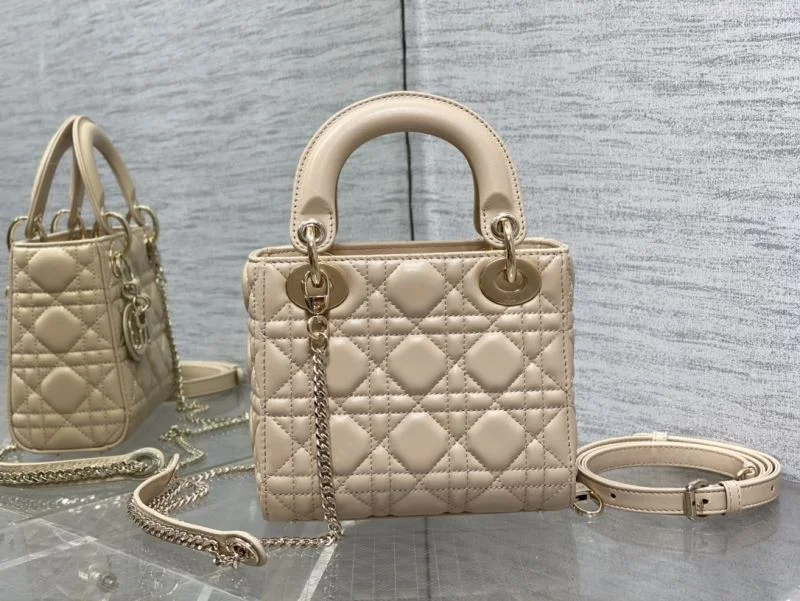 Christian Dior My Lady Bags Resilient 47258