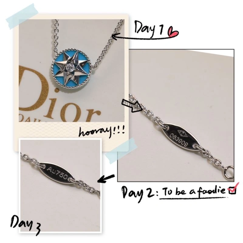 Durable Christian Dior Necklaces 236242
