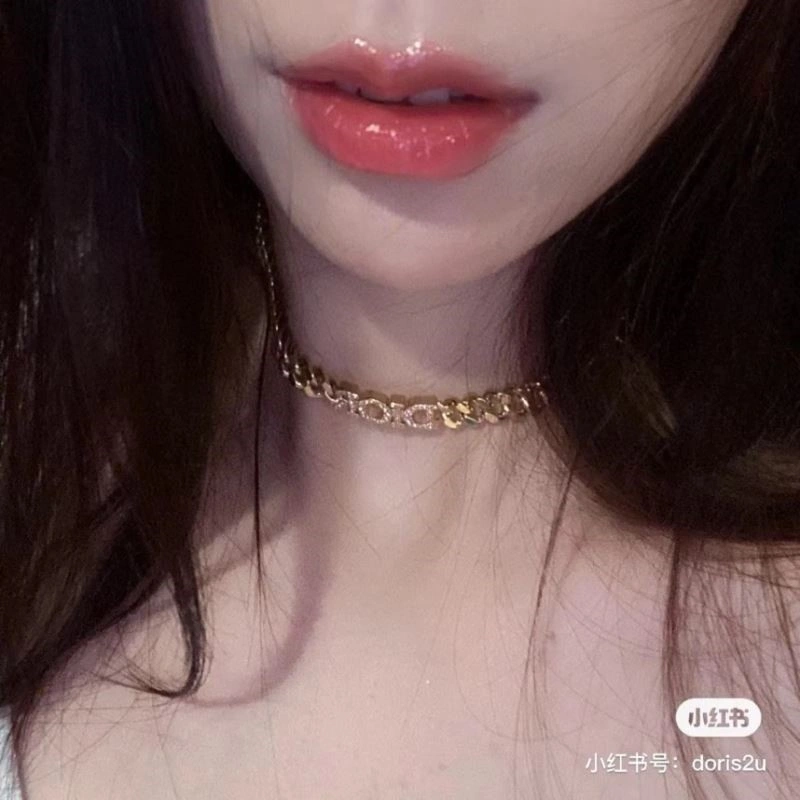 Popular Christian Dior Necklaces 233336