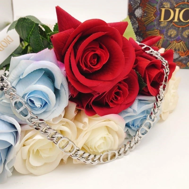 RelaxedFit Christian Dior Necklaces 233061