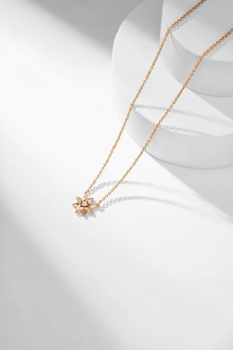 Popular Christian Dior Necklaces 232455
