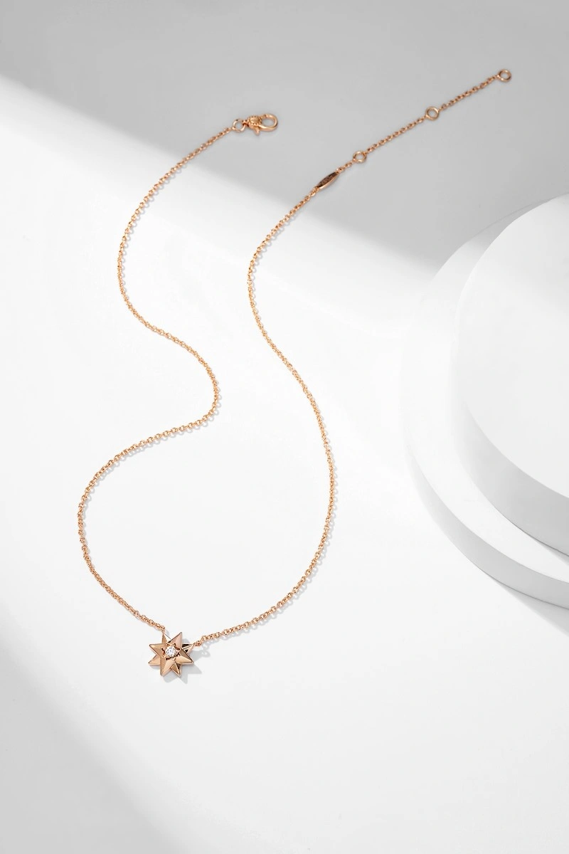 Popular Christian Dior Necklaces 232455