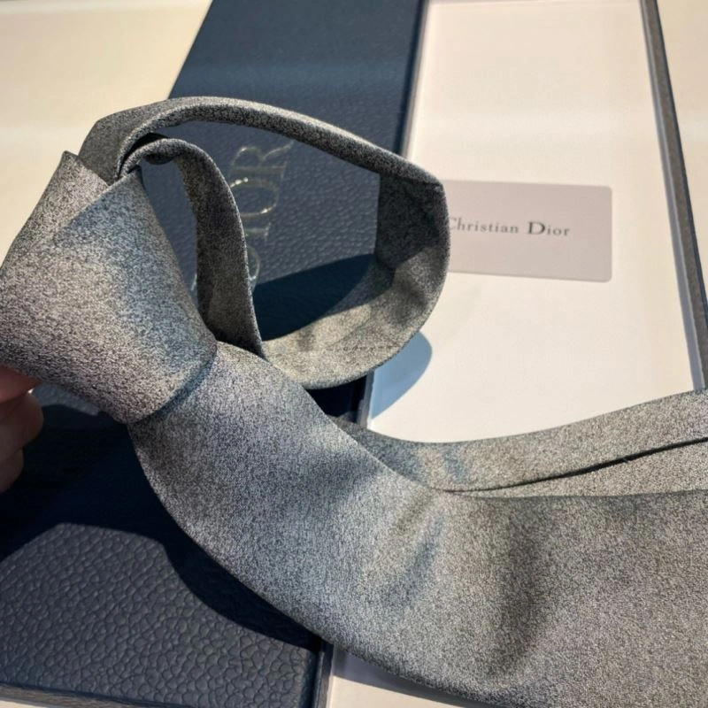 FastDry Christian Dior Neckties 268998
