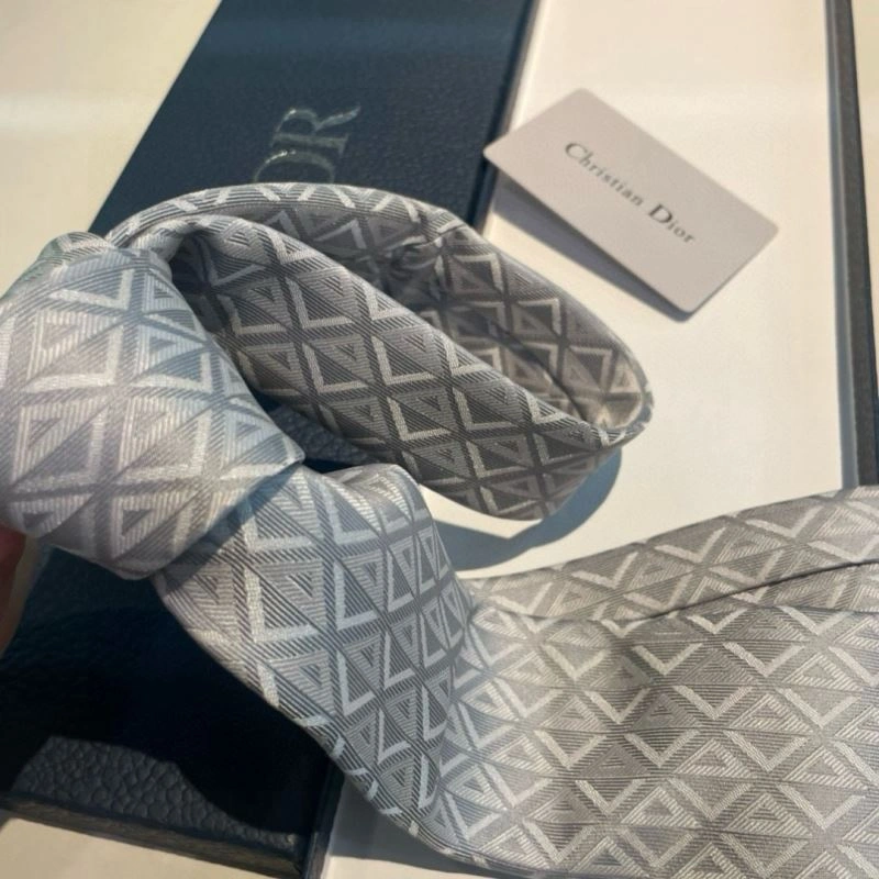 TravelReady Christian Dior Neckties 268996