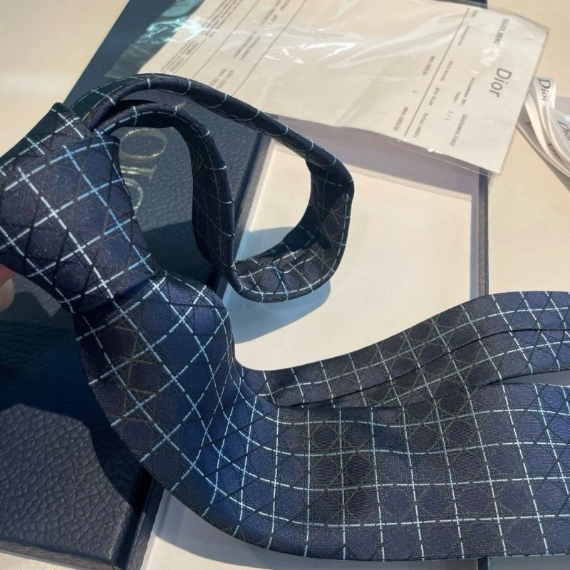 Christian Dior Neckties StreetReady 268978