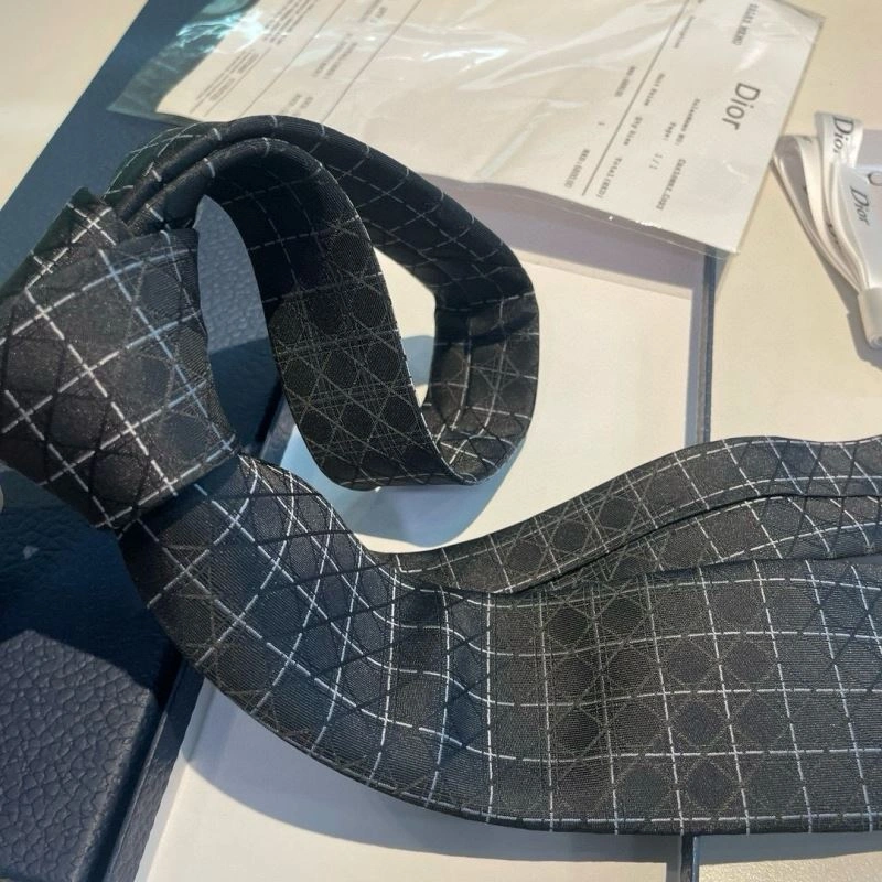 Christian Dior Neckties TopPick 269002