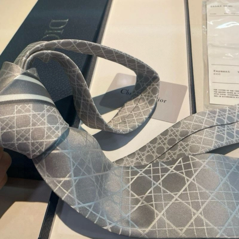Christian Dior Neckties Lightweight 268973