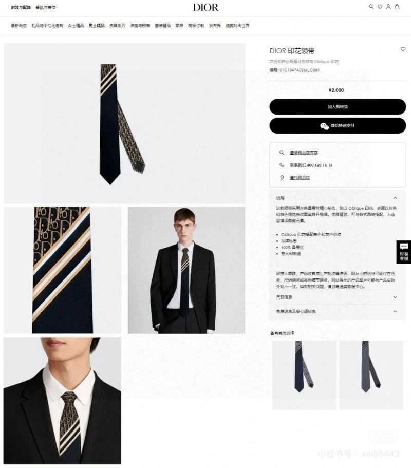 Christian Dior Neckties Unisex 268960