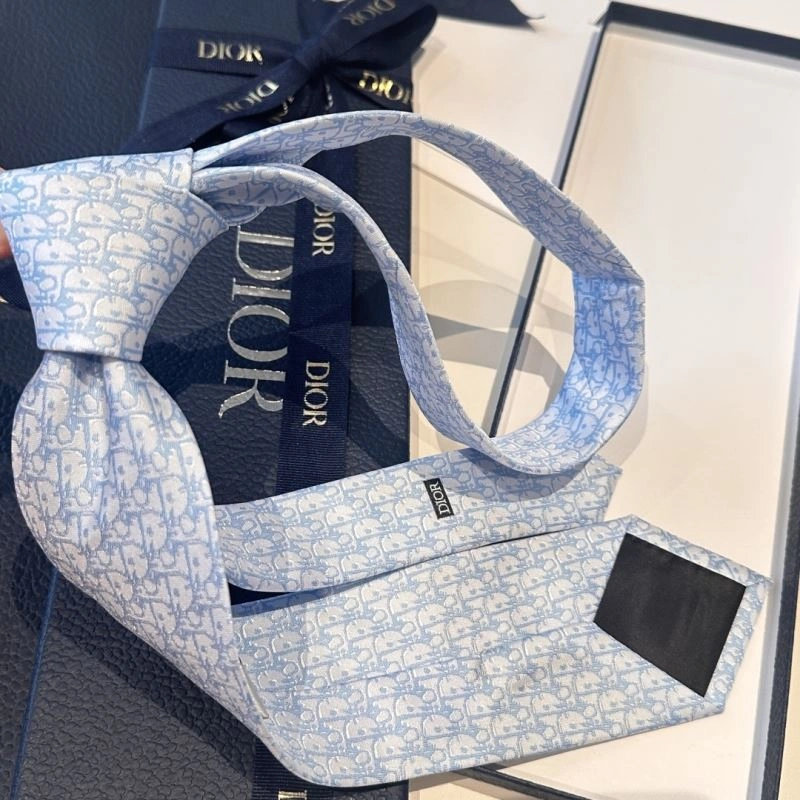 Christian Dior Neckties Elegant 268958