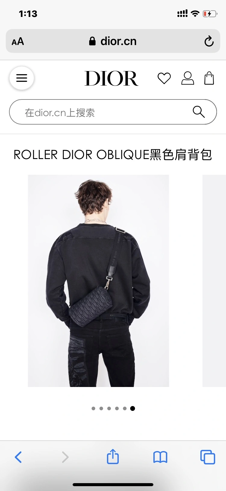 Christian Dior Other Bags TechFriendly 76300