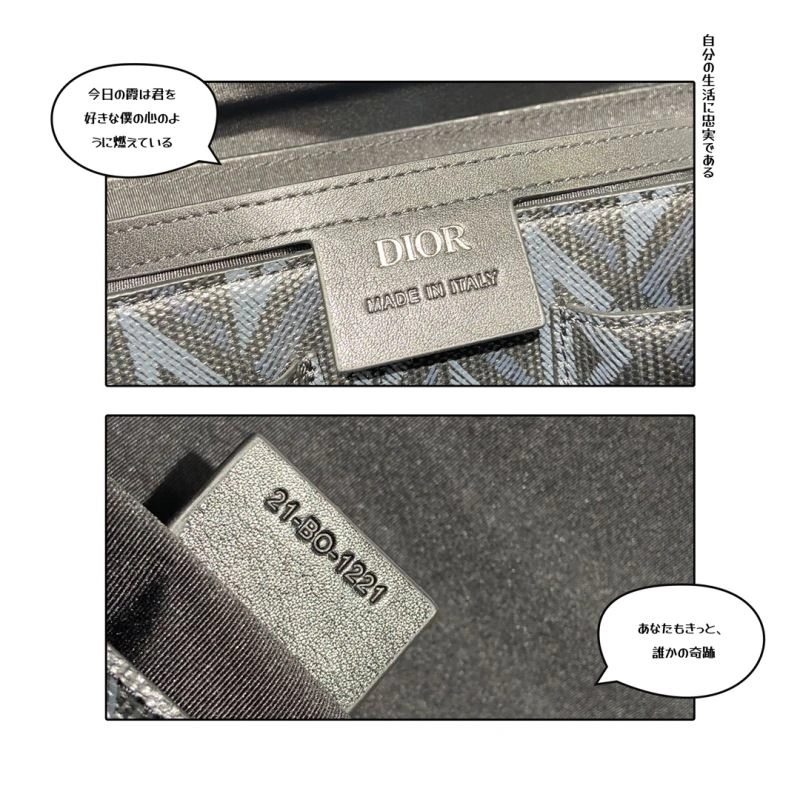 Contemporary Christian Dior Other Bags 76278