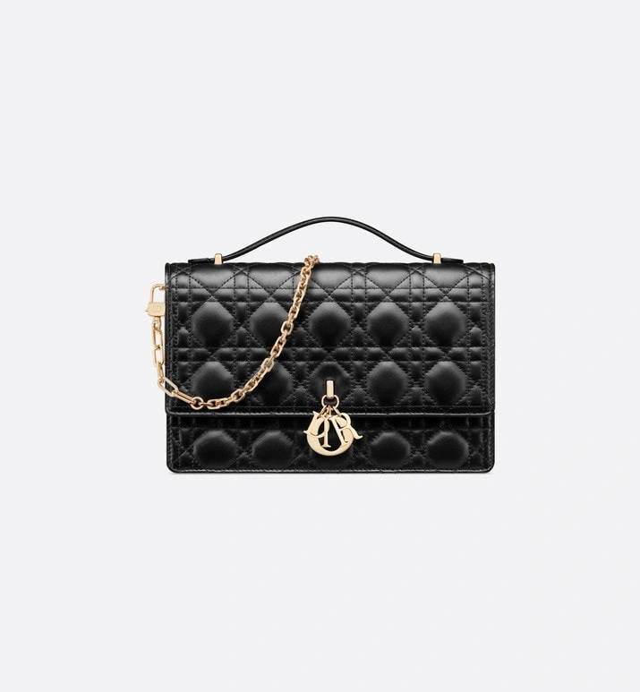 Christian Dior Other Bags Reliable 75891