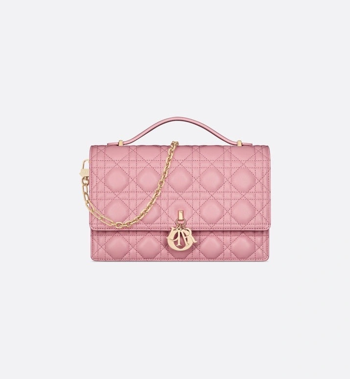 Christian Dior Other Bags Functional 75880