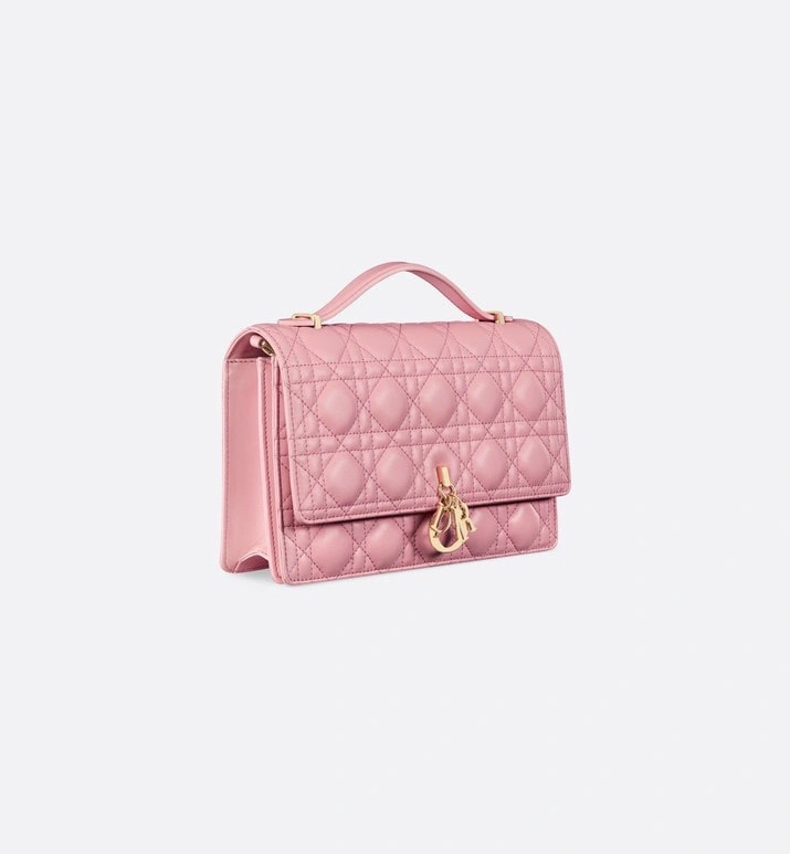Christian Dior Other Bags Functional 75880