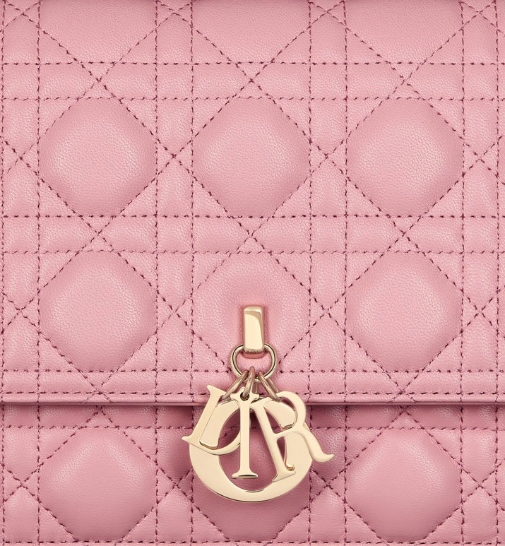 Christian Dior Other Bags Functional 75880