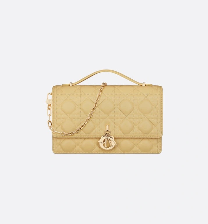 Christian Dior Other Bags Efficient 75878