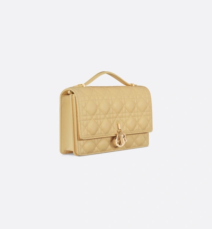 Christian Dior Other Bags Efficient 75878