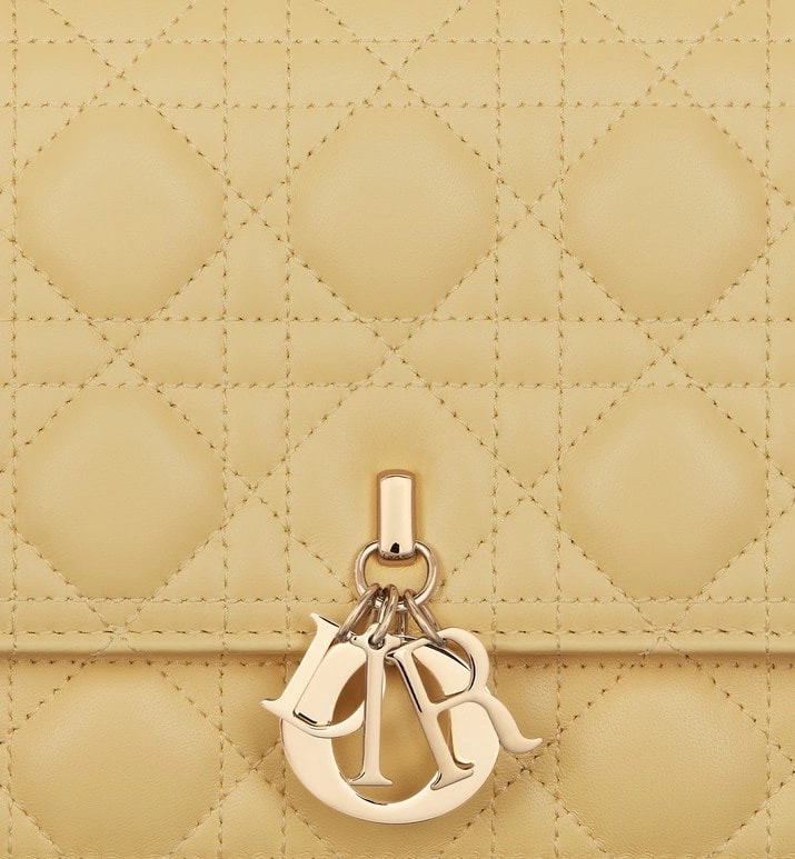 Christian Dior Other Bags Efficient 75878