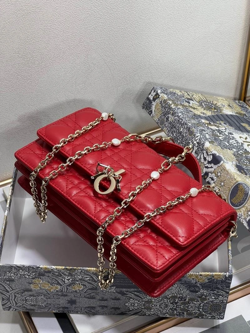 Christian Dior Other Bags DailyWear 75877