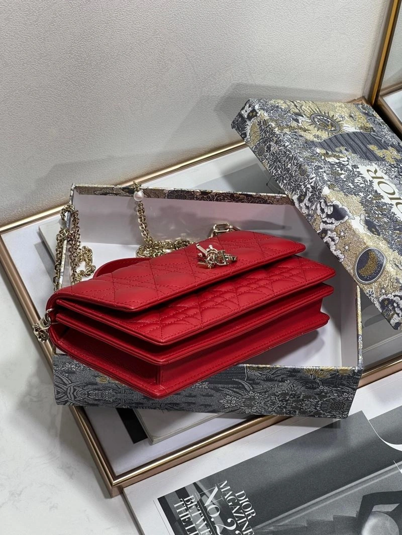 Christian Dior Other Bags DailyWear 75877