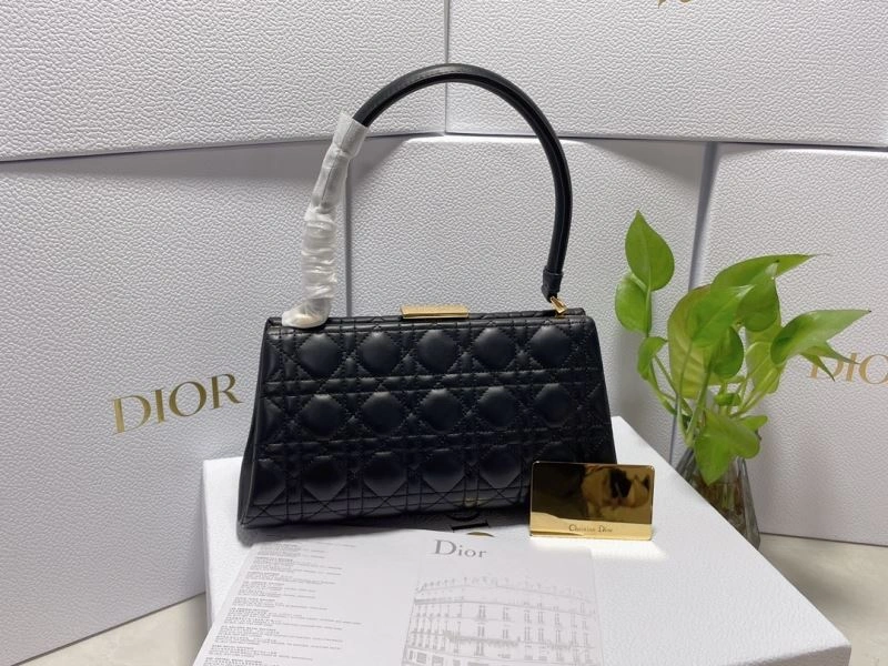 Christian Dior Other Bags Popular 75883