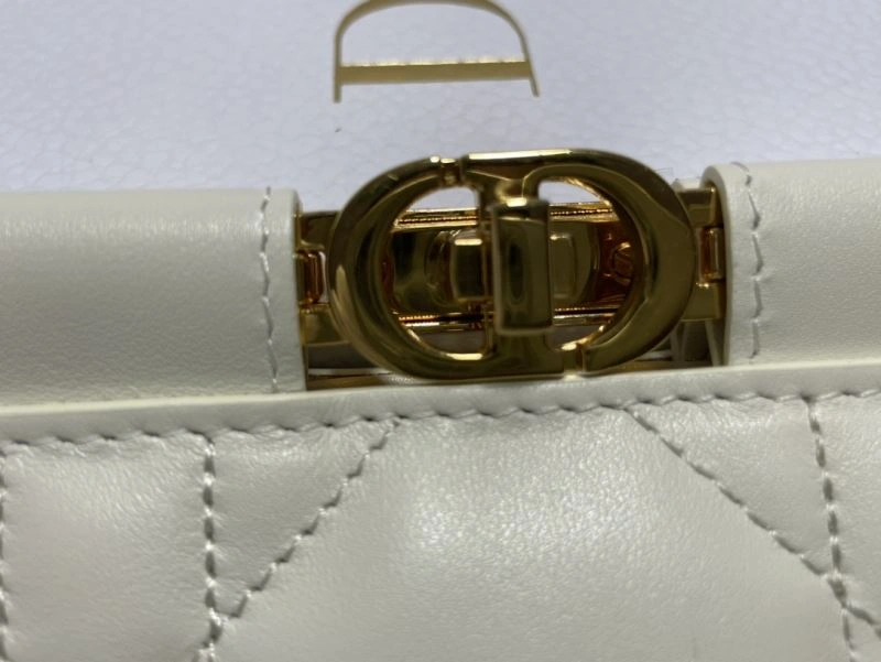 FreshLook Christian Dior Other Bags 75865