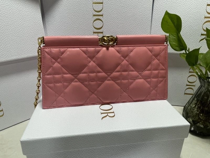 Christian Dior Other Bags DailyWear 75871