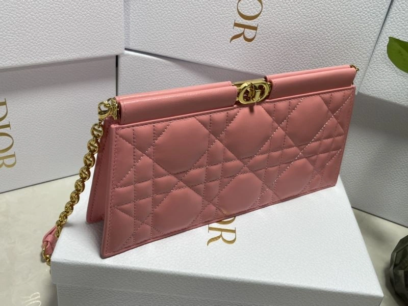 Christian Dior Other Bags DailyWear 75871