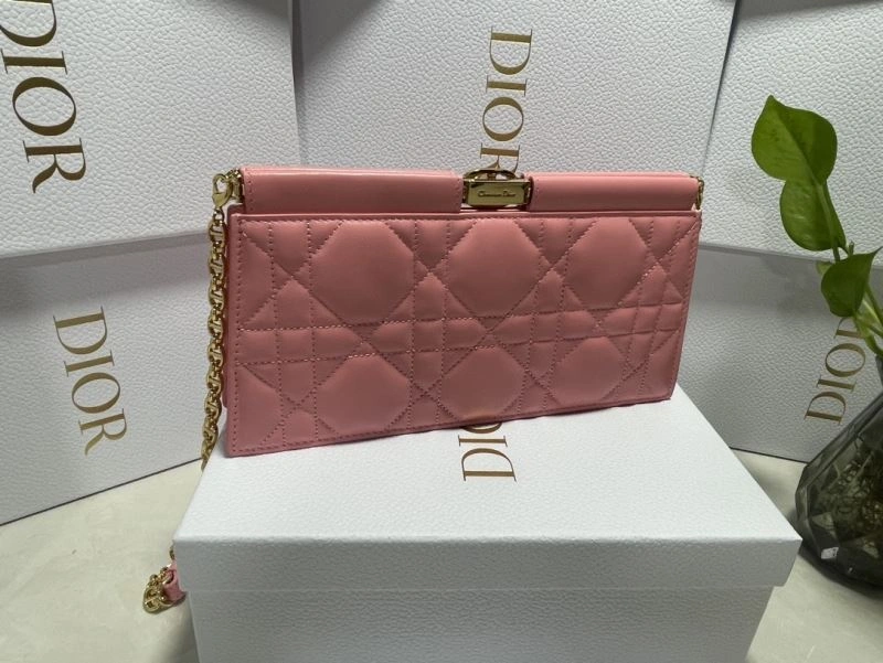 Christian Dior Other Bags DailyWear 75871