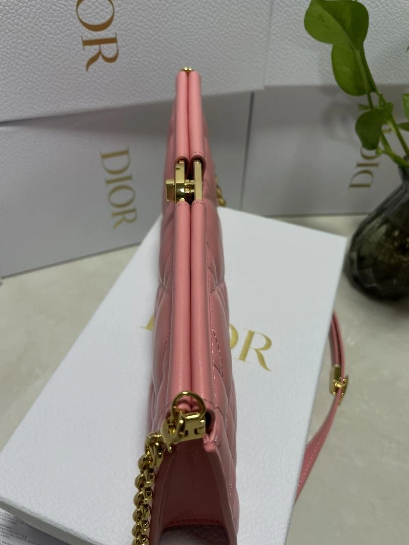 Christian Dior Other Bags DailyWear 75871