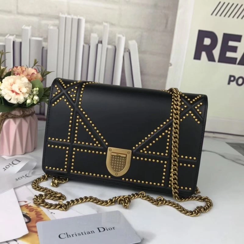 Christian Dior Other Bags Supportive 75889