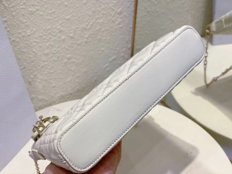 Christian Dior Other Bags WrinkleFree 75853