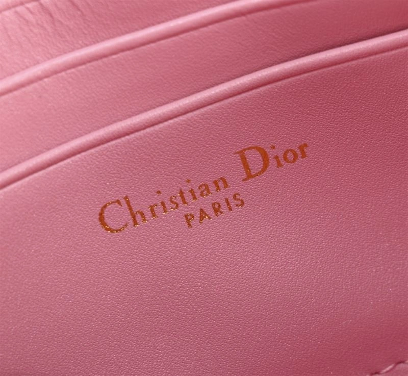 Christian Dior Other Bags Unique 75831