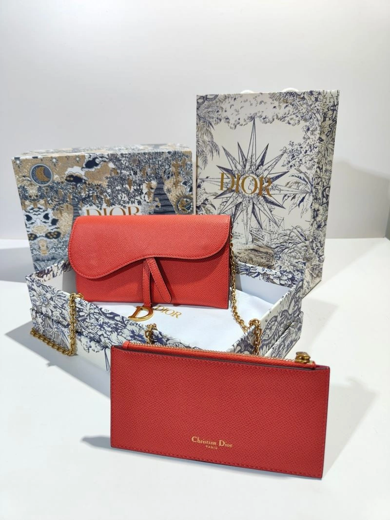 Christian Dior Other Bags WrinkleFree 75786