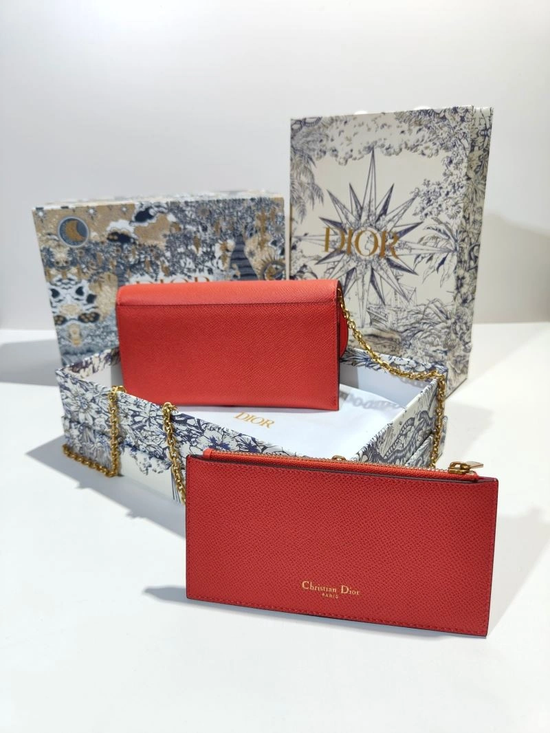 Christian Dior Other Bags WrinkleFree 75786