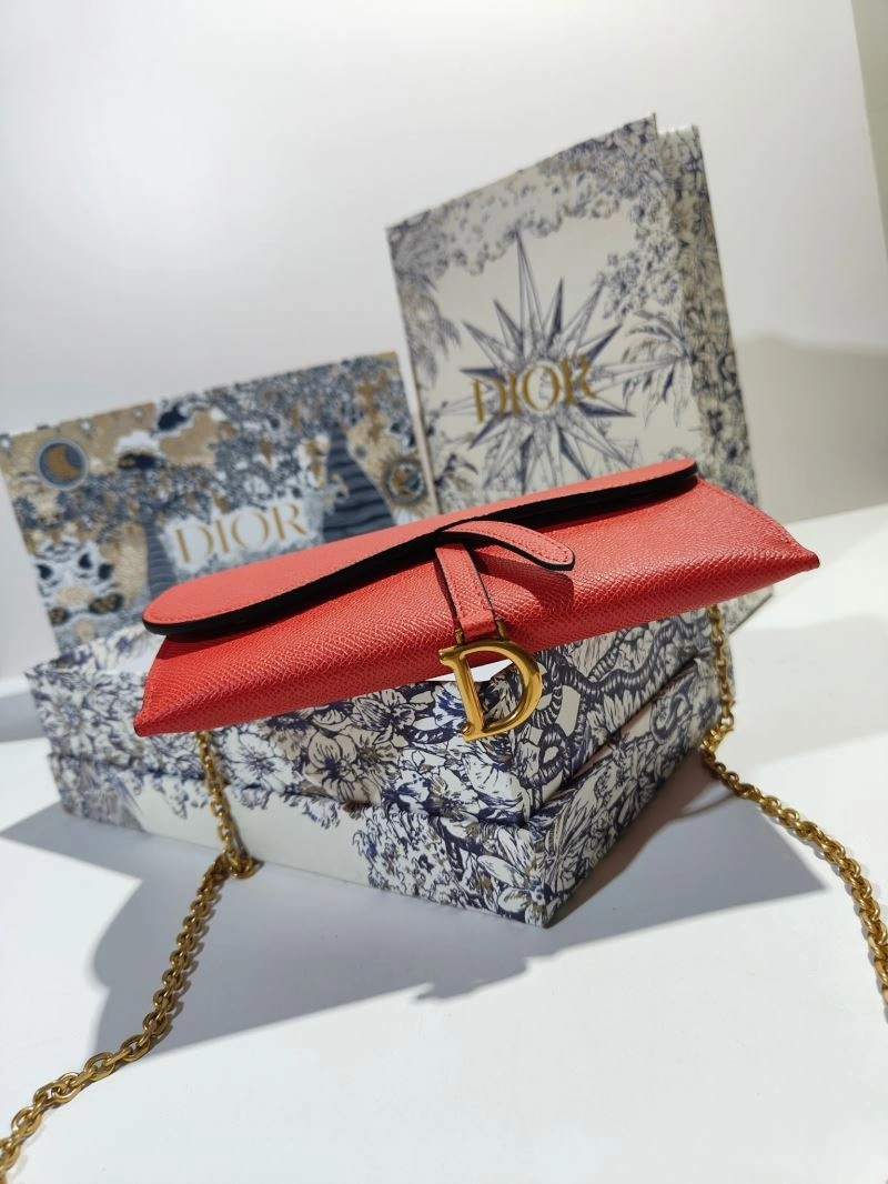 Christian Dior Other Bags WrinkleFree 75786