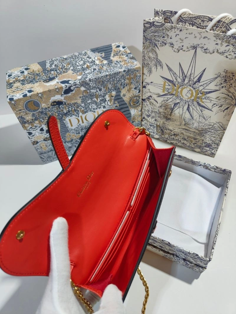Christian Dior Other Bags WrinkleFree 75786